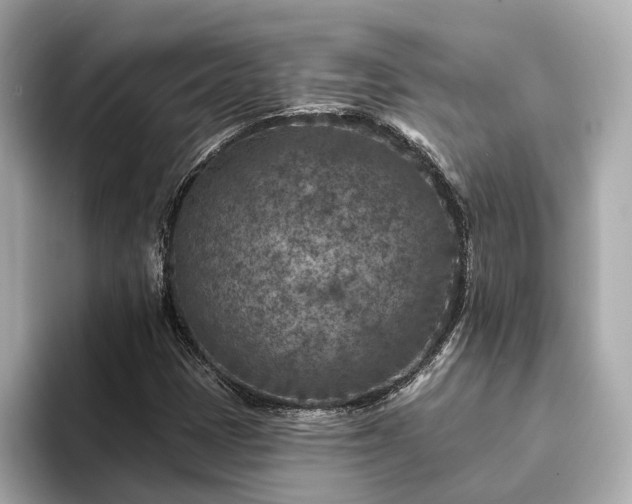 X0000094071401200710261237