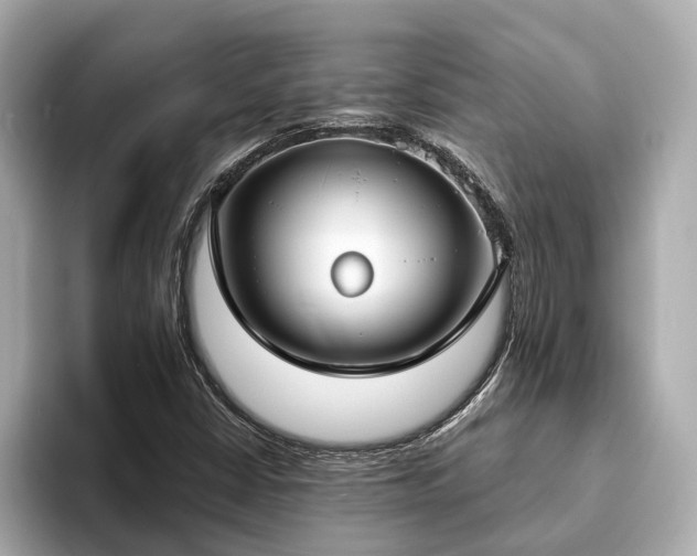 X0000094071402200710261237