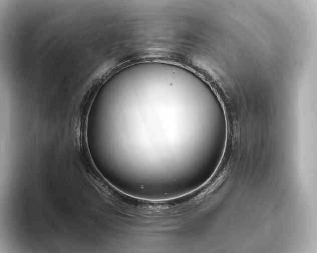 X0000094071403200710261237