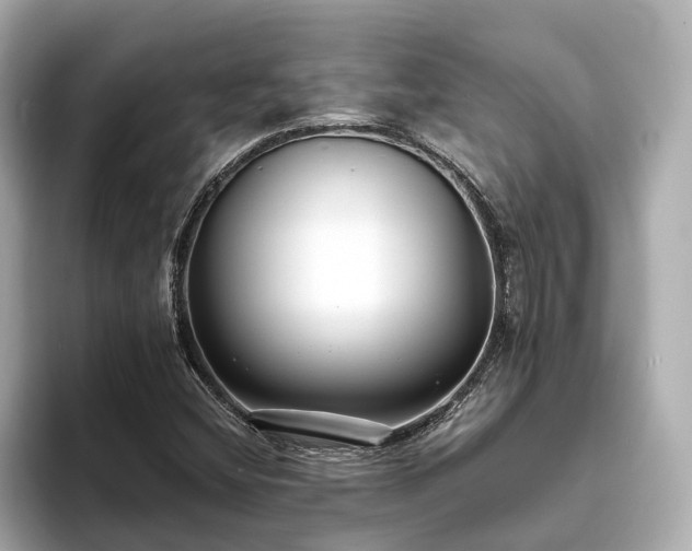 X0000094071404200710261237
