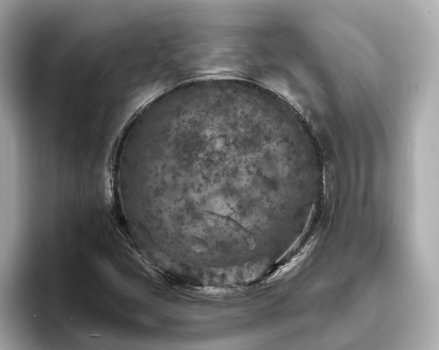 X0000094071405200710261237