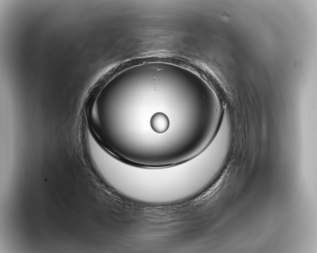 X0000094071406200710261237