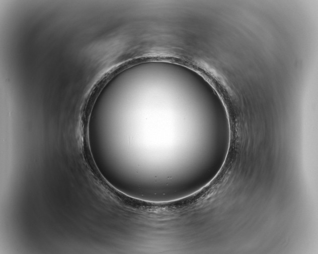 X0000094071408200710261237