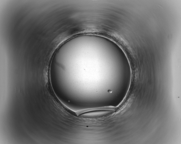X0000094071409200710261237