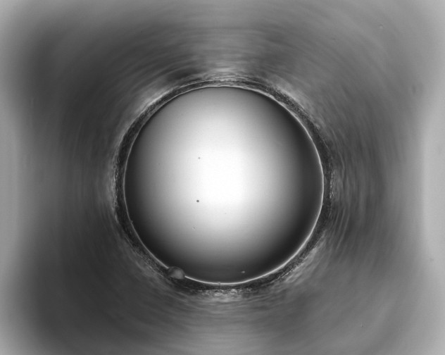 X0000094071410200710261237