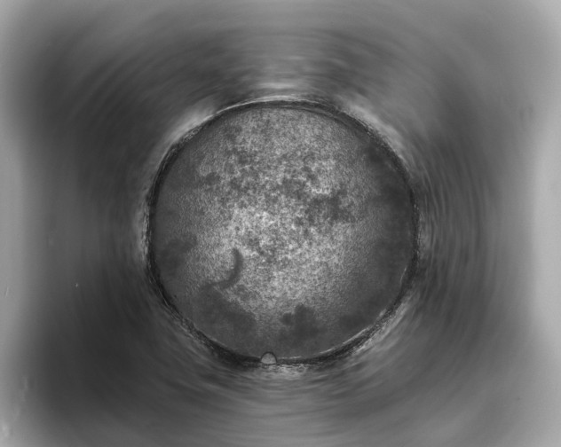 X0000094071411200710261237