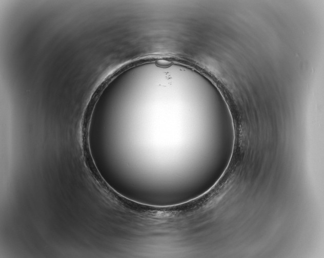 X0000094071412200710261237