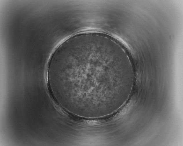 X0000094071413200710261237
