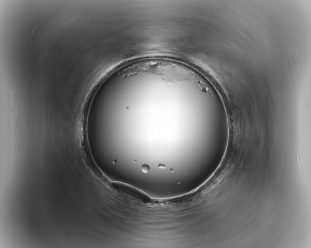 X0000094071415200710261237