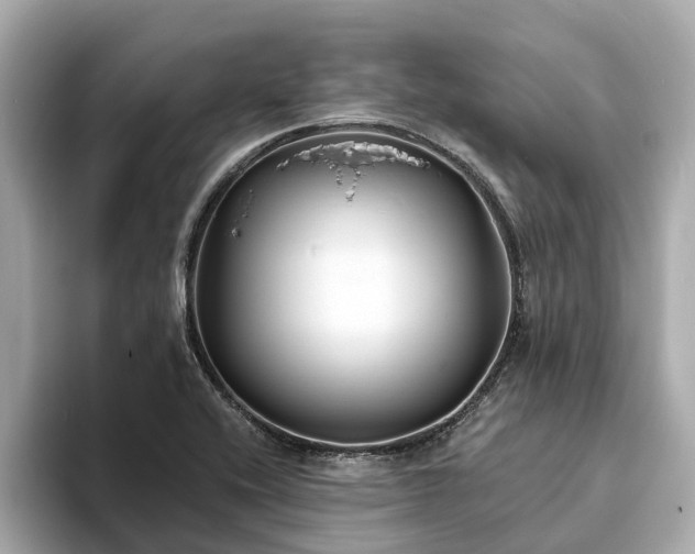 X0000094071416200710261237