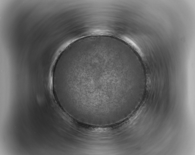 X0000094071419200710261237