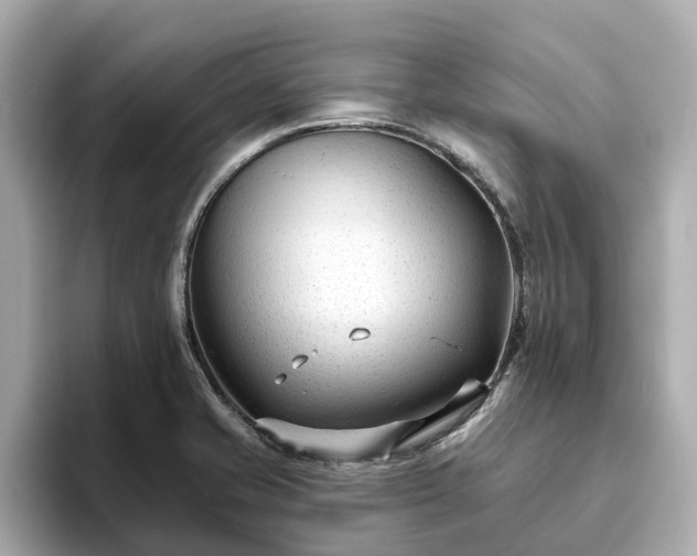 X0000094071421200710261237