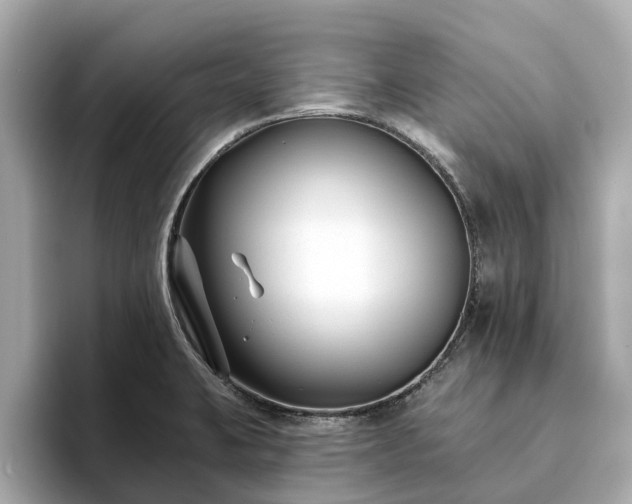 X0000094071423200710261237