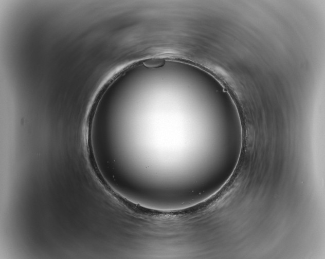 X0000094071424200710261237