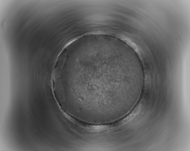 X0000094071425200710261237