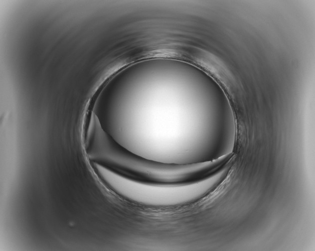 X0000094071426200710261237