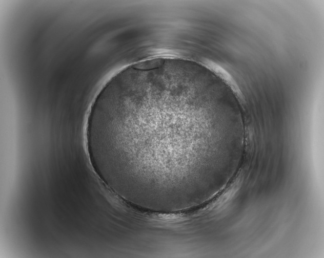 X0000094071427200710261237