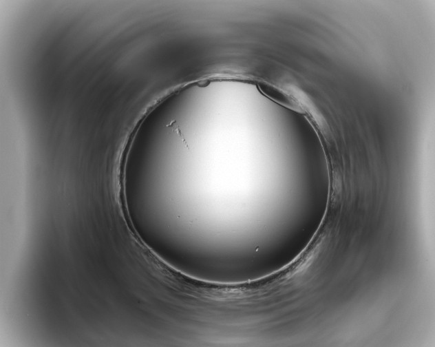X0000094071435200710261237
