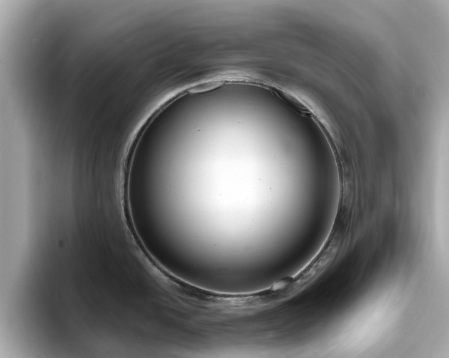 X0000094071438200710261237
