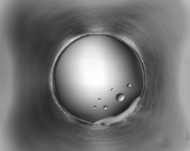 X0000094071440200710261237
