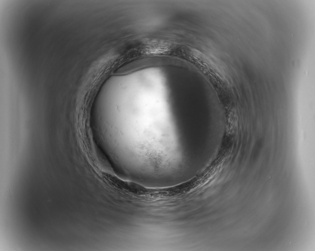 X0000094071441200710261237
