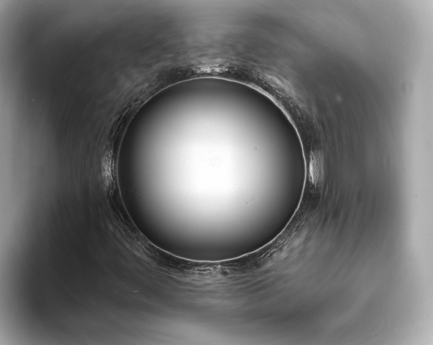 X0000094071444200710261237