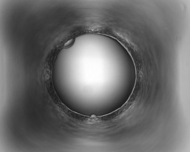 X0000094071447200710261236
