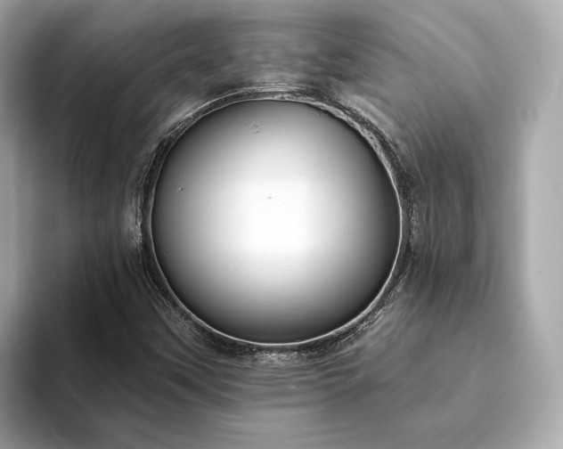 X0000094071451200710261236