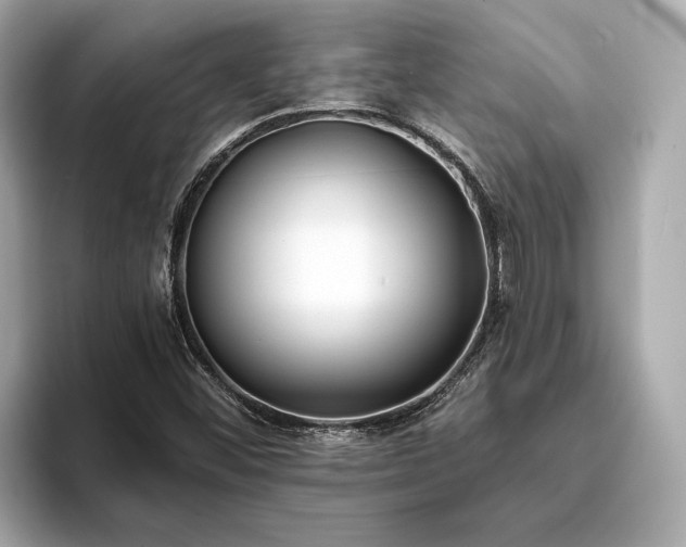 X0000094071452200710261236