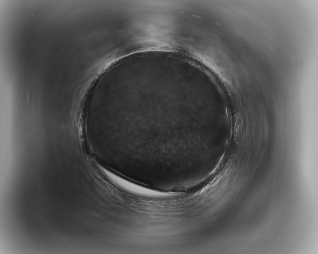X0000094071455200710261236