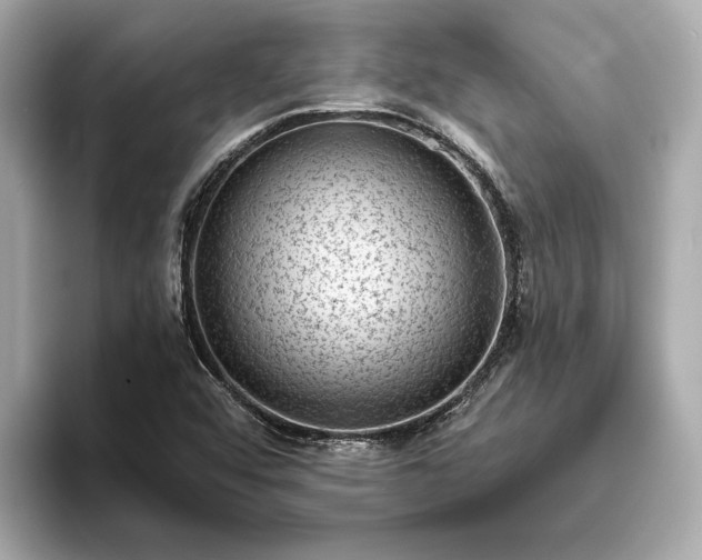 X0000094071456200710261236