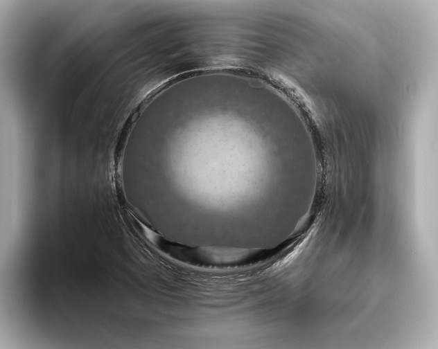 X0000094071457200710261236
