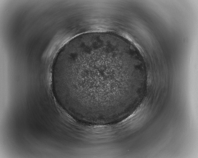 X0000094071459200710261236