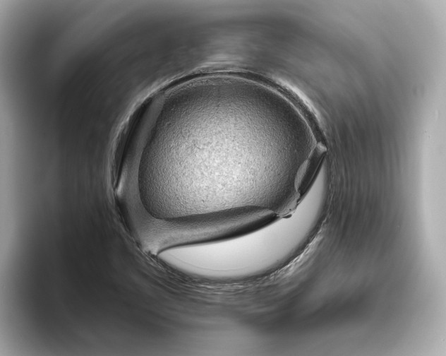 X0000094071461200710261236