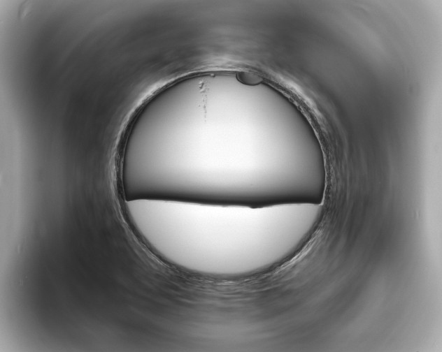X0000094071463200710261236