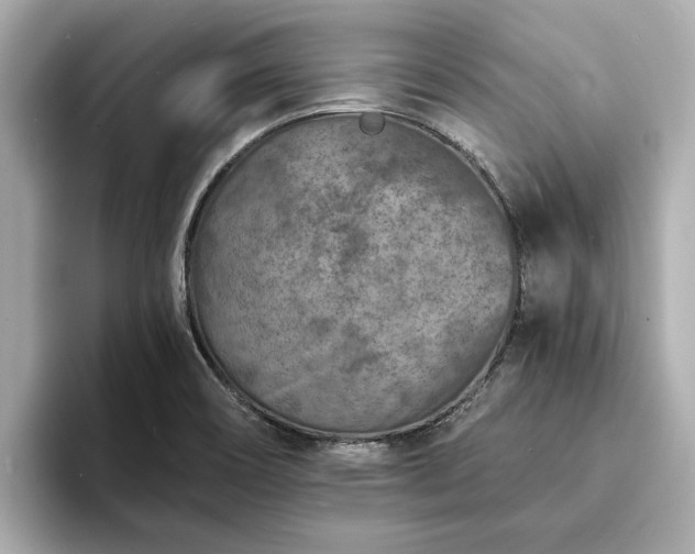 X0000094071466200710261236