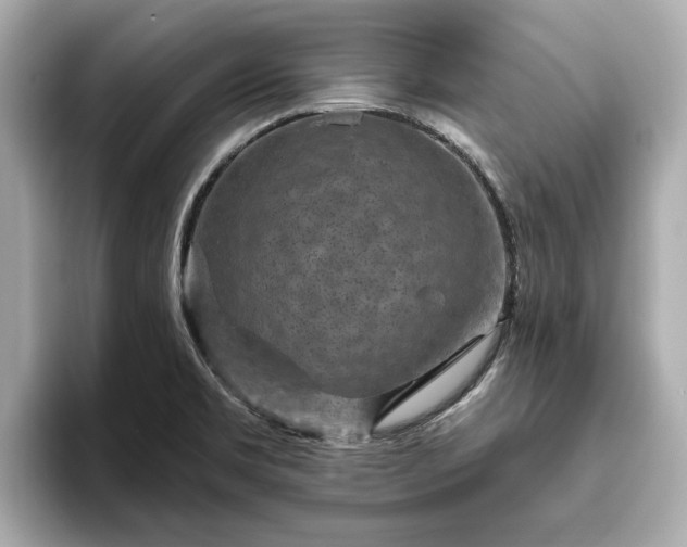 X0000094071469200710261236