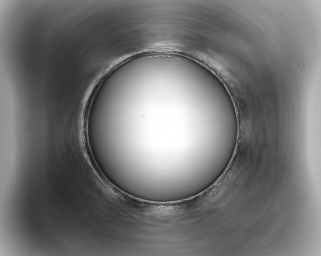 X0000094071470200710261236