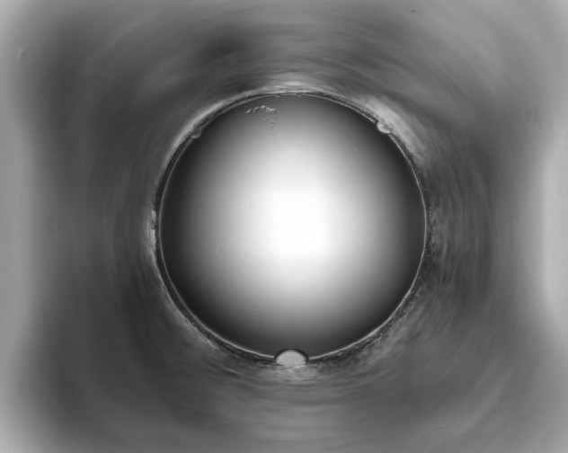 X0000094071476200710261236