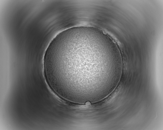 X0000094071479200710261236