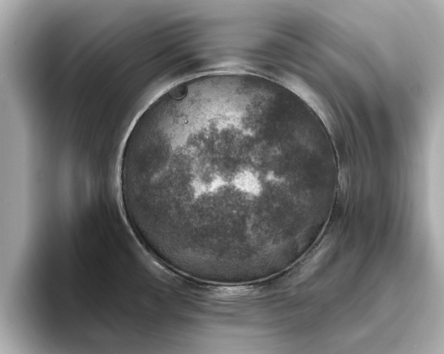 X0000094071482200710261236