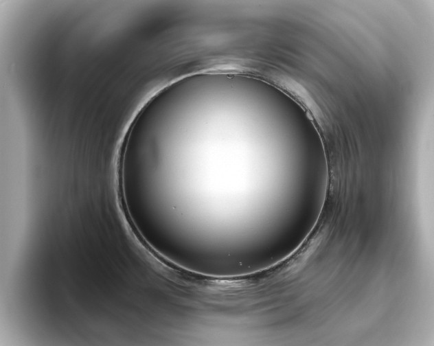 X0000094071483200710261236
