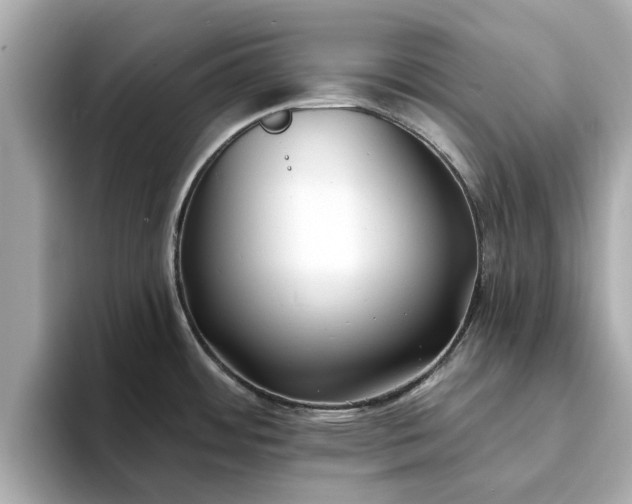 X0000094071484200710261236