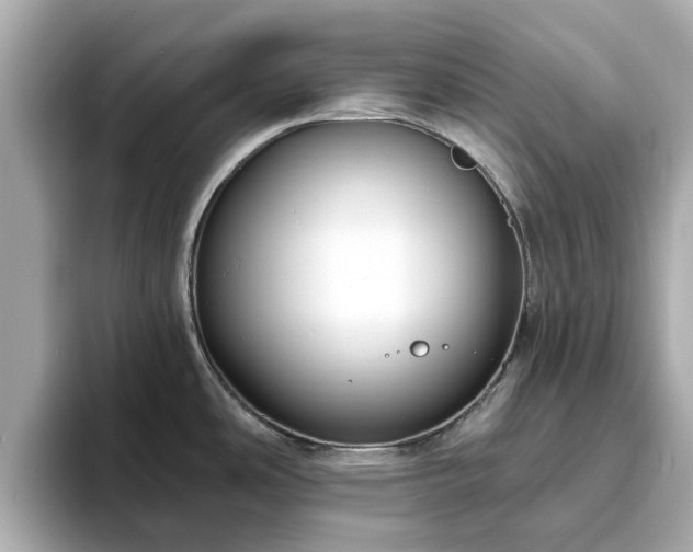 X0000094071486200710261236