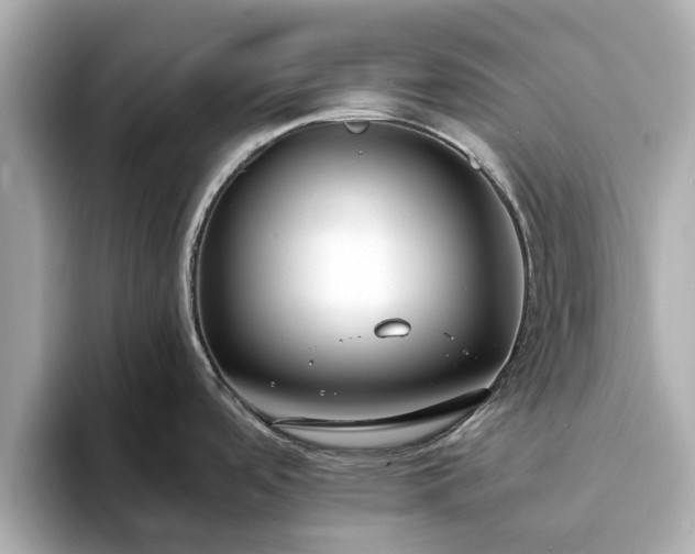 X0000094071488200710261236