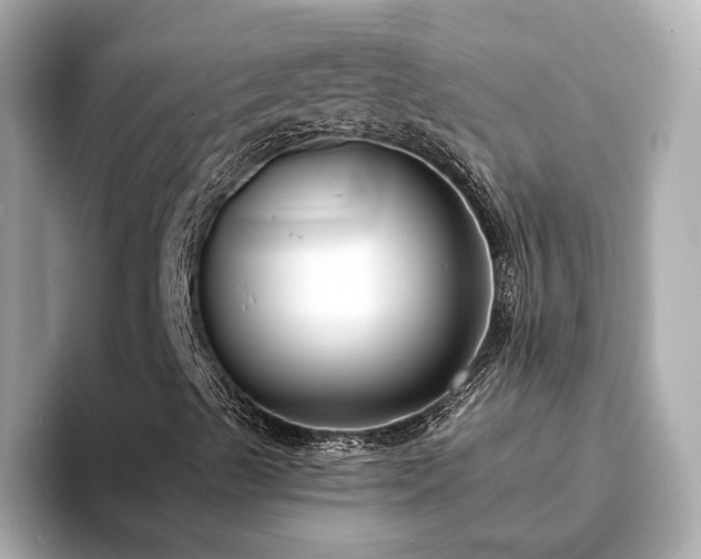 X0000094071489200710261235