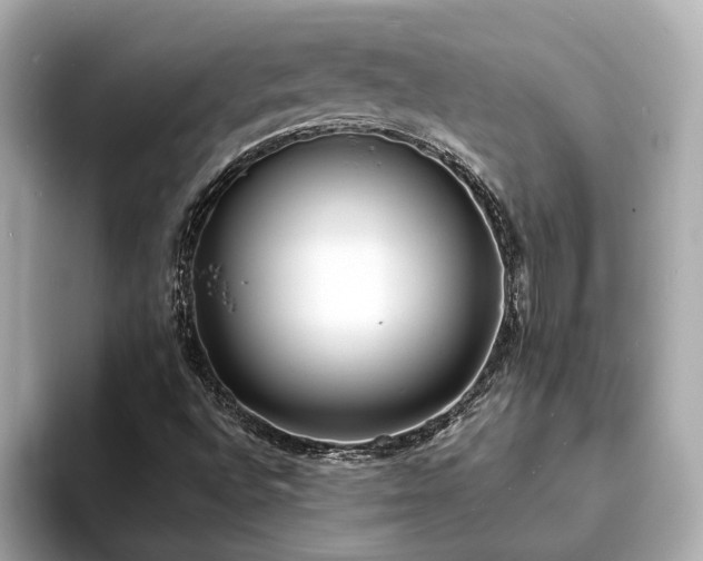 X0000094071496200710261235