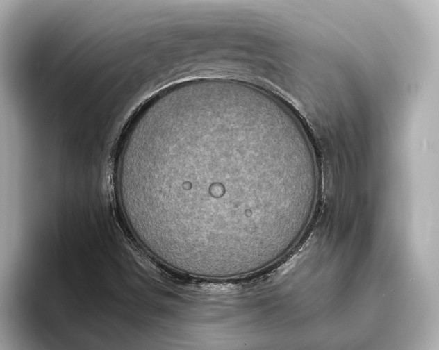 X0000094071498200710261235