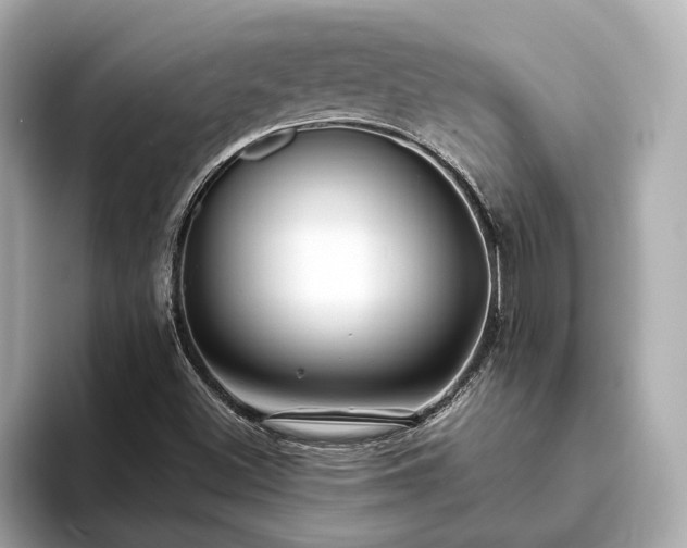 X0000094071500200710261235