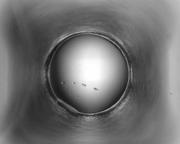 X0000094071501200710261235